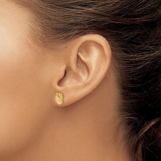 14K Petite Scallop Shell Stud Earrings