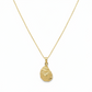 14K Gold Oyster Necklace