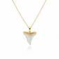 14K + Diamond Shark Tooth Necklace
