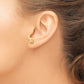 14K Mini Scallop Shell Stud Earrings