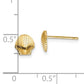 14K Mini Scallop Shell Stud Earrings