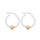 Rose Gold Cape Cod Thin Hoops