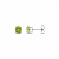 New! 14k White Gold + Peridot Stud Earrings
