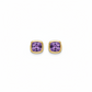 Two Tone Amethyst Stud Earrings