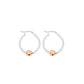 Rose Gold Cape Cod Thin Hoops