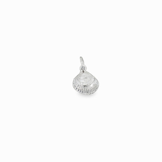 Sterling Silver Cockle Shell Charm