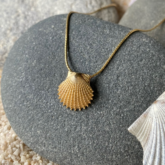 14k Knobby Scallop Shell Necklace