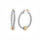 Two Tone Cape Cod Twist Hoops