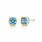 Two Tone Blue Topaz Stud Earrings