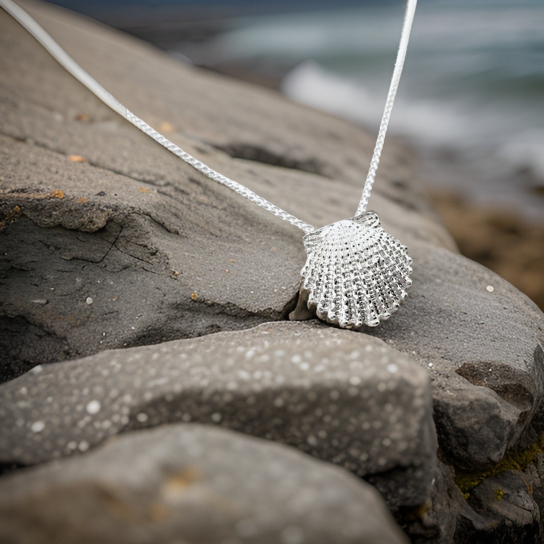Sea Shell Jewelry – Cape Cod Jewelers