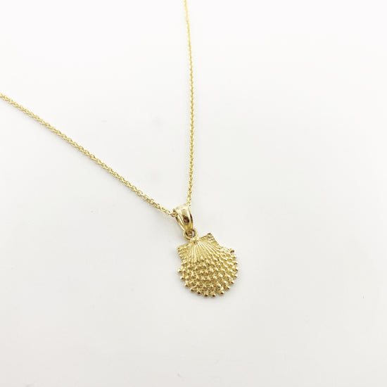 14k Gold Petite Knobby Scallop Shell Necklace