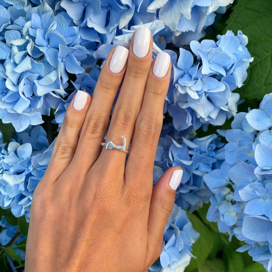 Capeology Cape Cod Map Ring