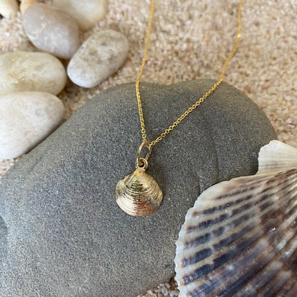 Solid gold shell necklace deals