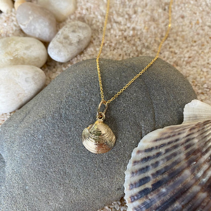 14k Gold Quahog Shell Necklace