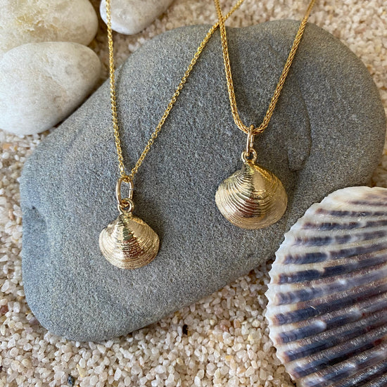 14K Gold Quahog Shell Necklace