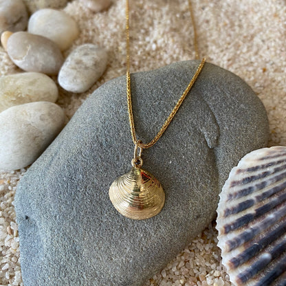 14k Gold Quahog Shell Necklace