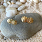 14k Gold Sand Dollar Stud Earrings