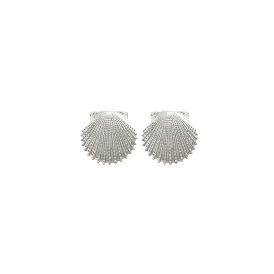 Sterling Silver Knobby Scallop Shell Earrings