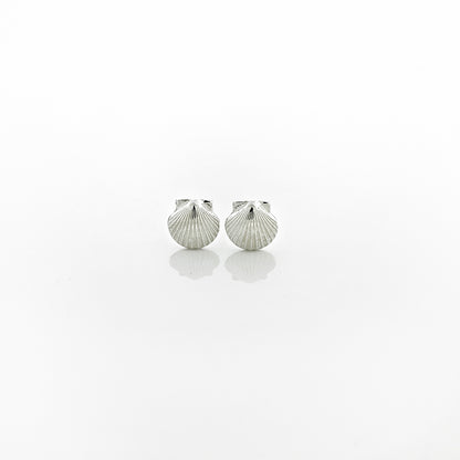 Petite Scallop Shell Stud Earrings