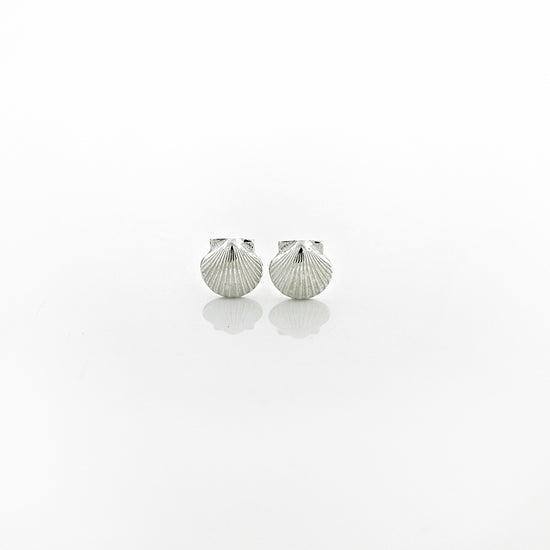 Petite Scallop Shell Stud Earrings