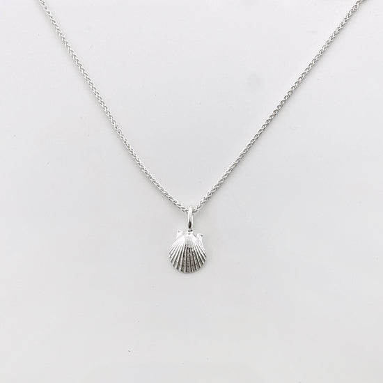 Sterling Silver Scallop Necklace