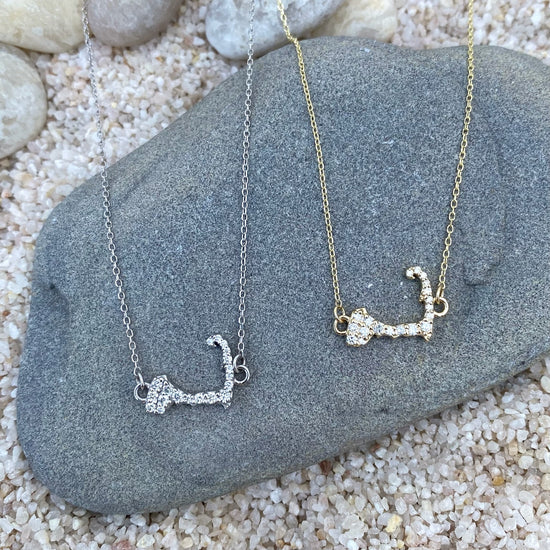 Petite Diamond Cape Cod Map Necklace